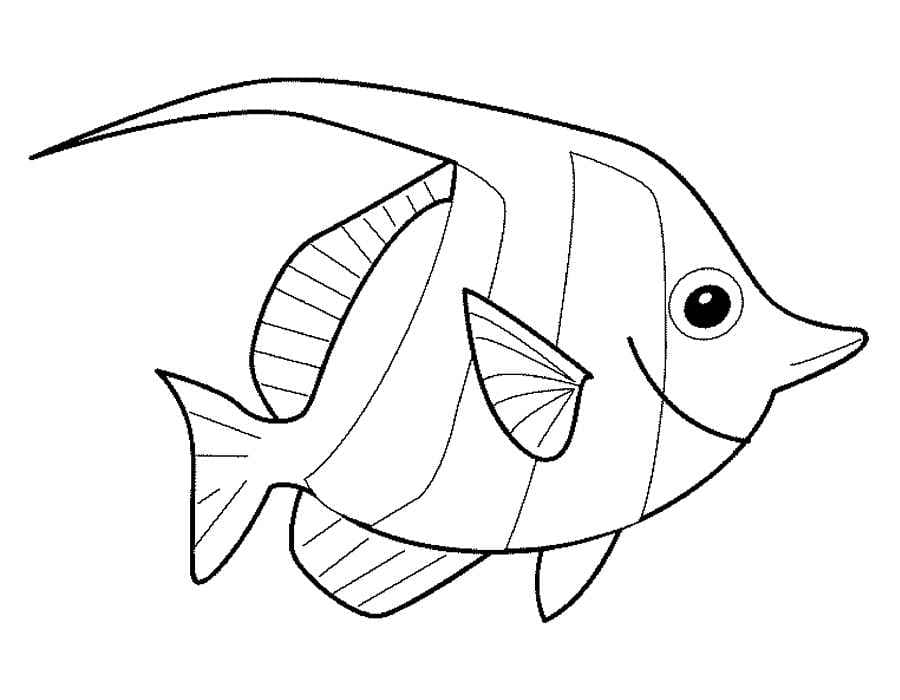 Плоская рыбка раскраска