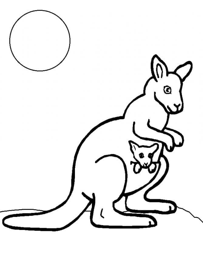 Два кенгуру раскраска детская