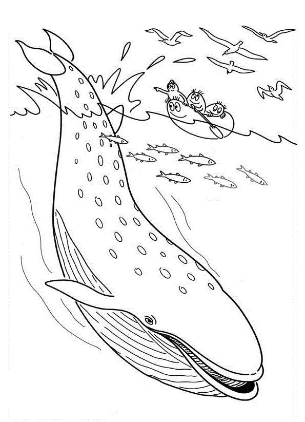 Кит планктон и чайки