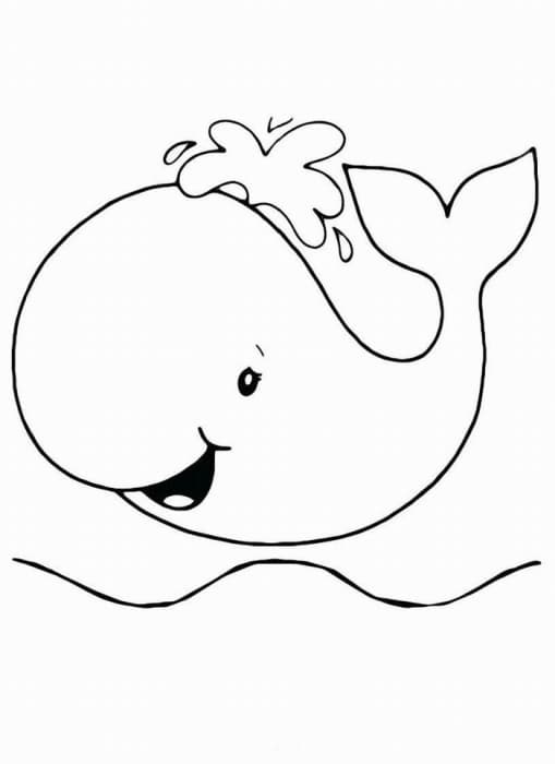 Маленький кит