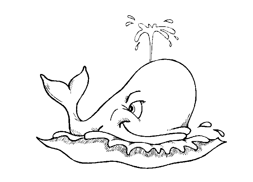 Раскраска для детей кит