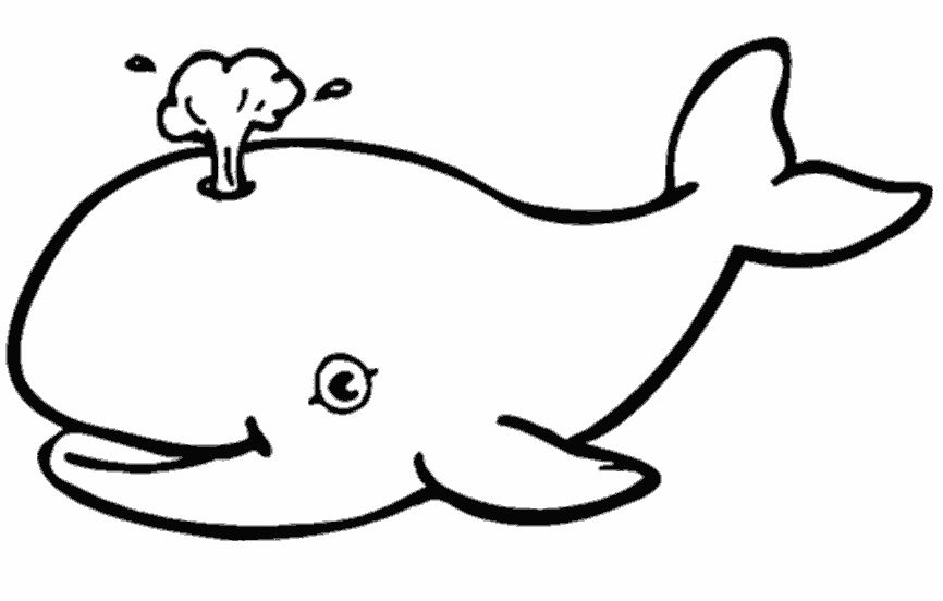 Раскраска маленький кит