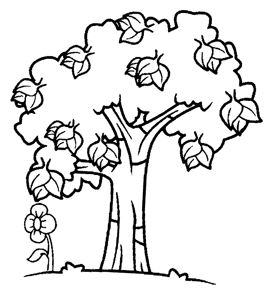 Дерево раскраски для детей. Скачать, распечатать онлайн бесплатно