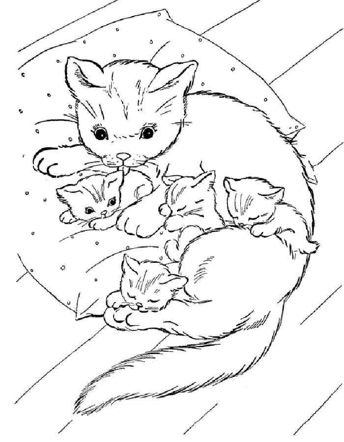 Кошка и котята на подушке