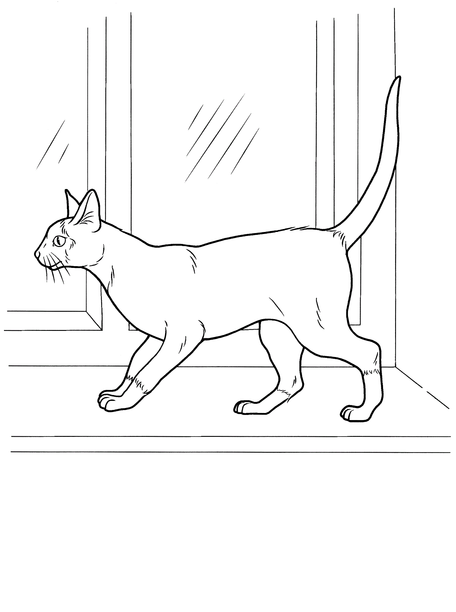 Кошка на подоконнике