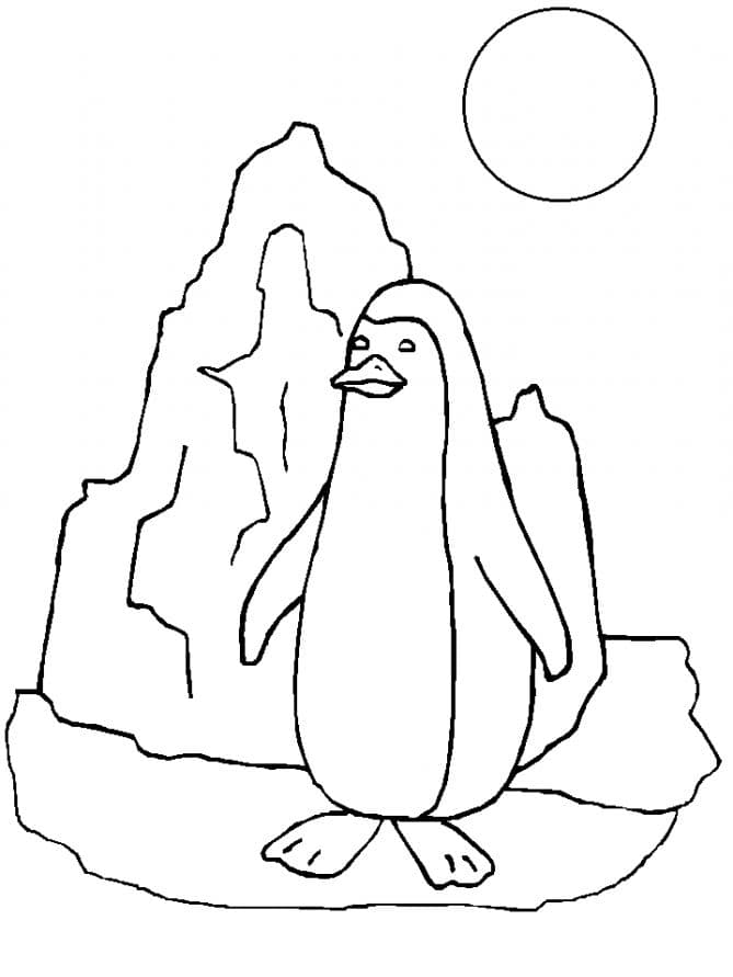 Пингвин и солнце