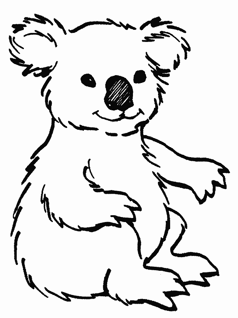 Детская раскраска коала
