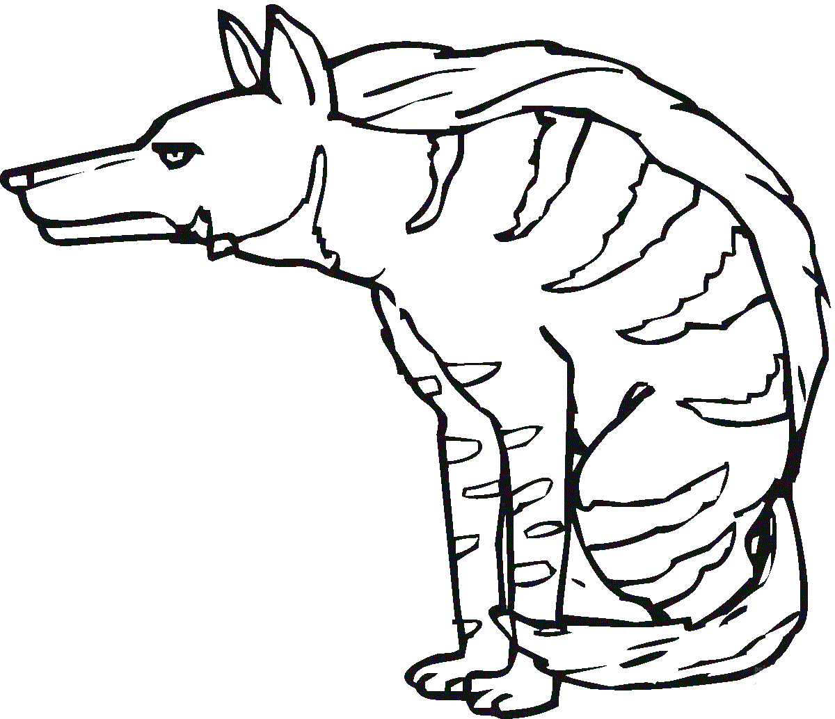 Полосатая гиена