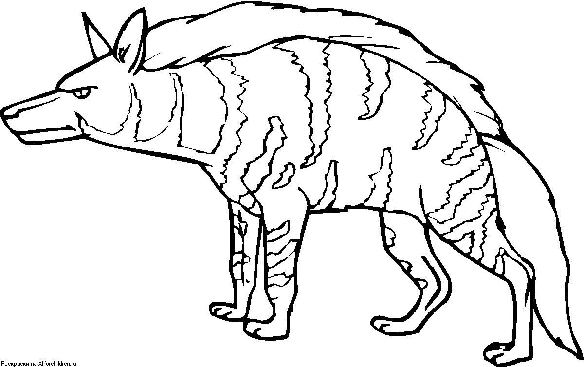 Раскраска гиена