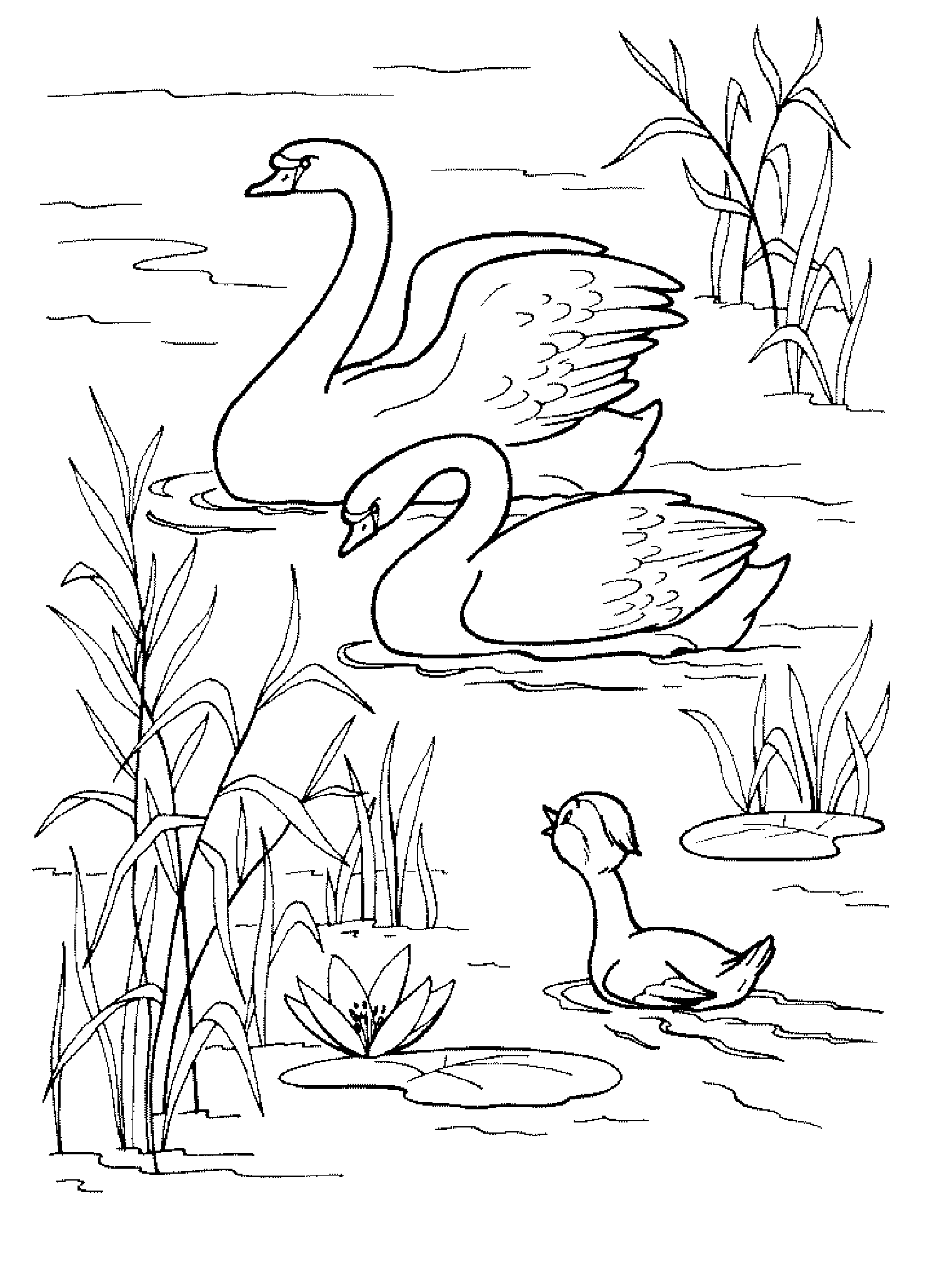 Лебеди и утенок