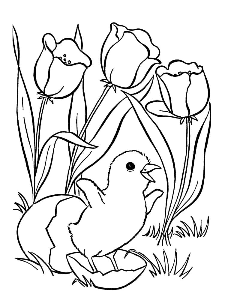 Маленький птенец и тюльпаны