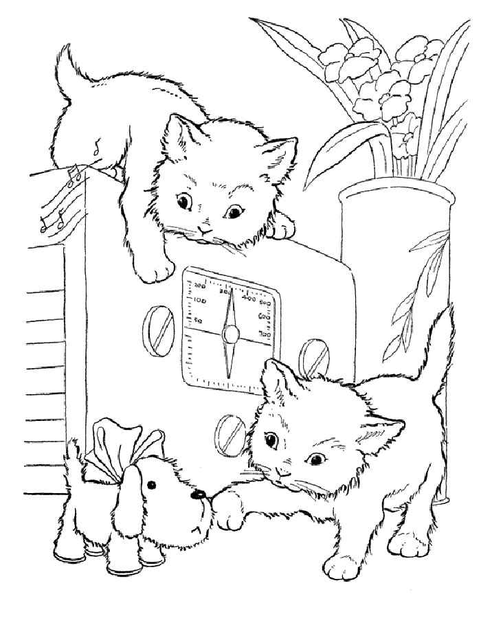 Котята и щенок - Раскраски от сайта В мире сказки!