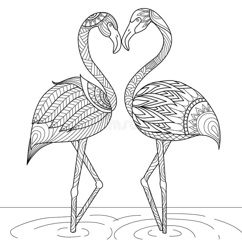 Раскраска два фламинго в воде