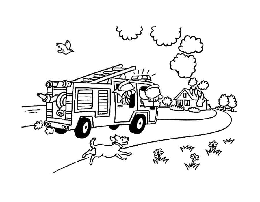 Пожарная машина и собака