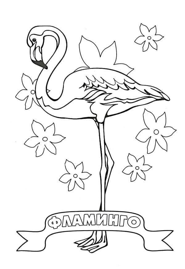 Фламинго и цветочки