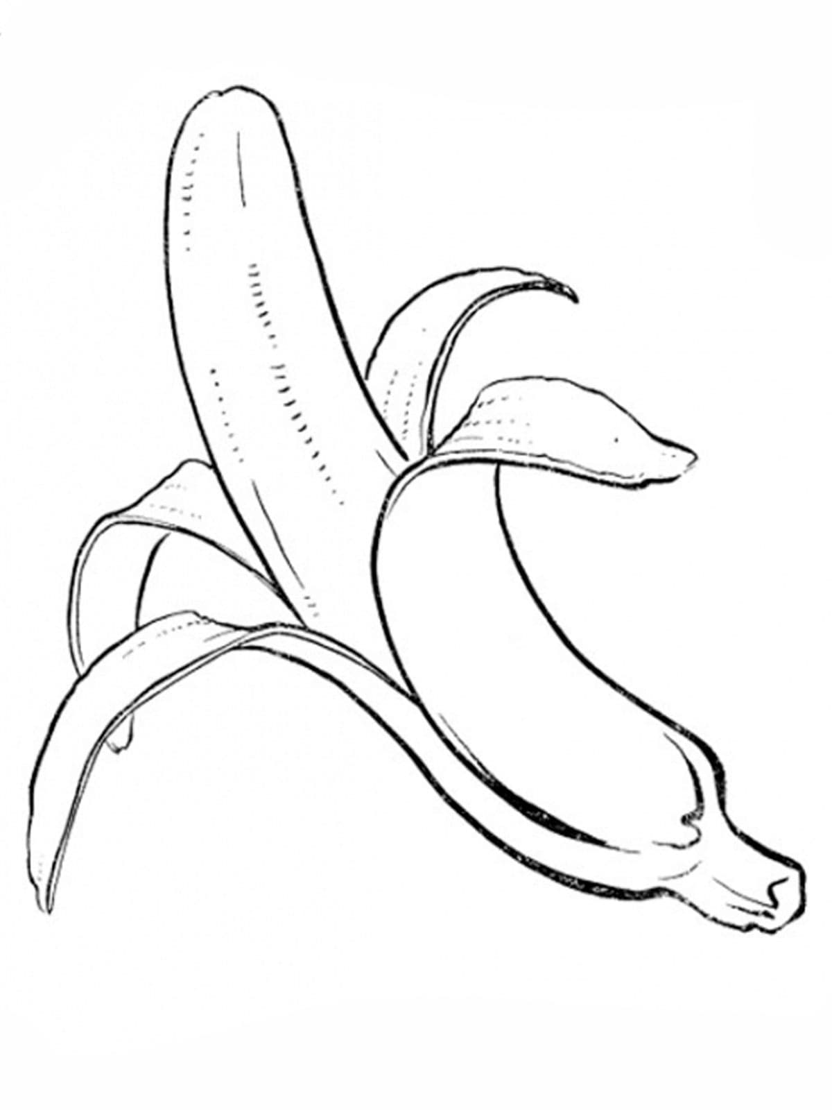 Банан почищенный раскраска