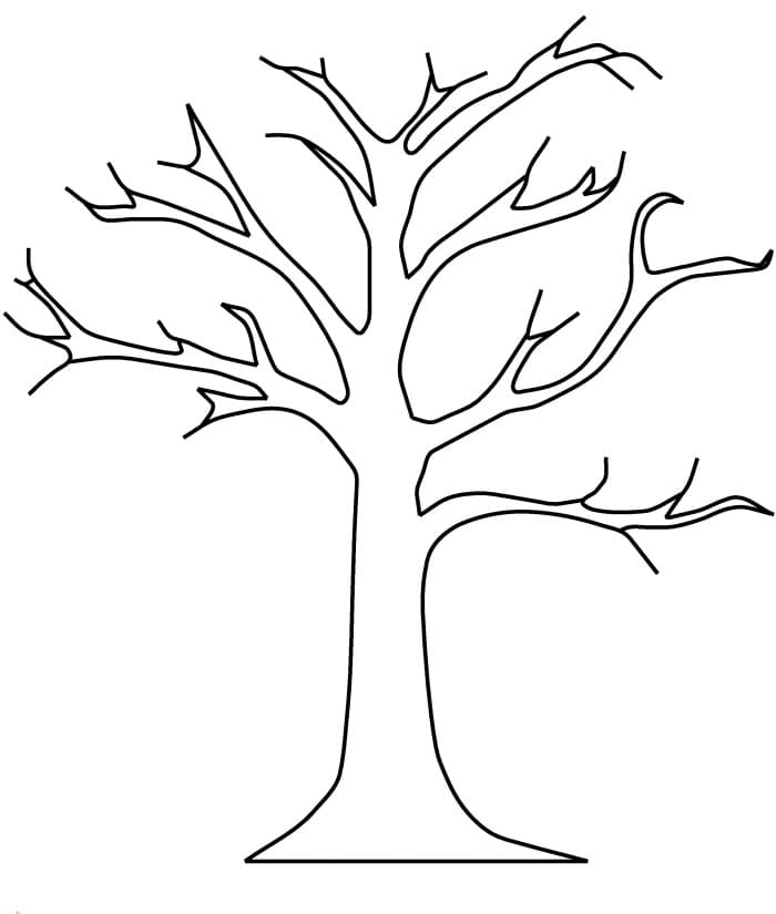 Дерево с голыми ветками