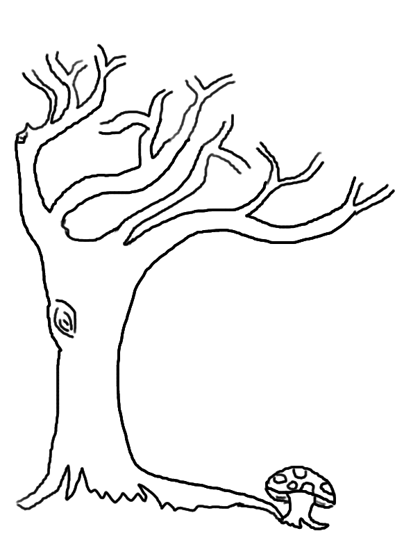 Лысое дерево и мухомор