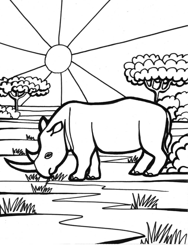 Носорог и солнце