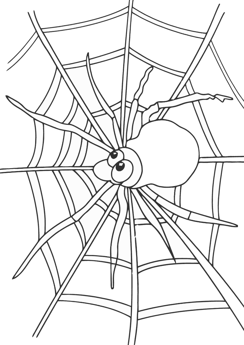 Паутина и мультяшный паук