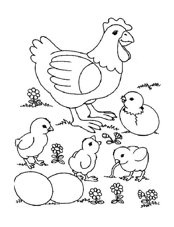 Курица цыплята и цветочки
