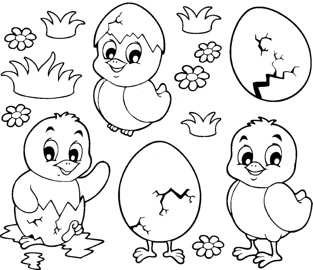 Картинки раскрашивания курицы Изображения – скачать бесплатно на Freepik