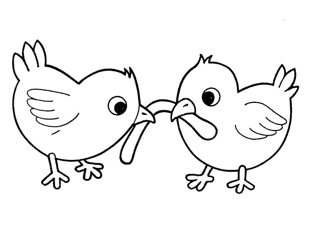 Два цыпленка