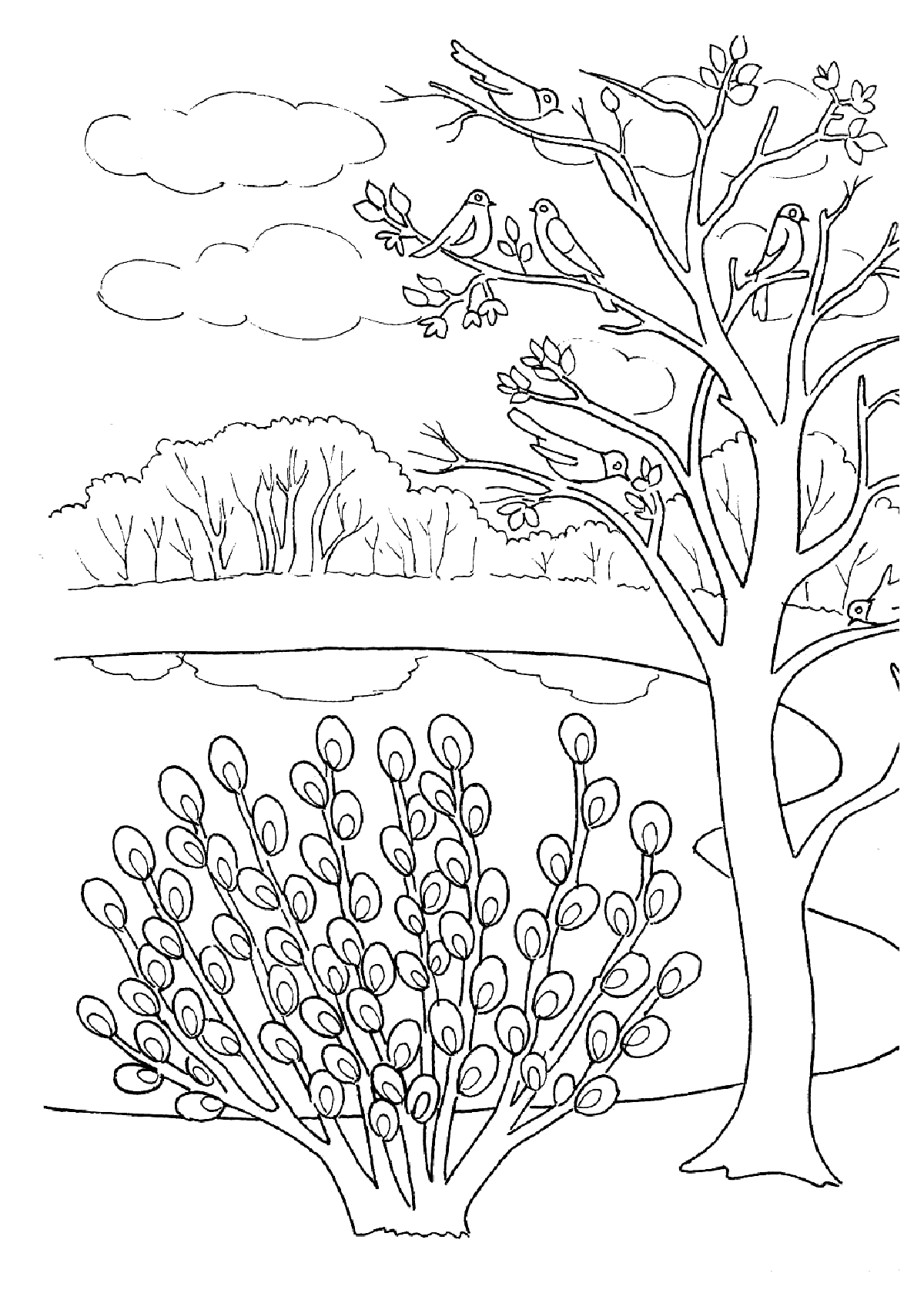 Дерево и куст