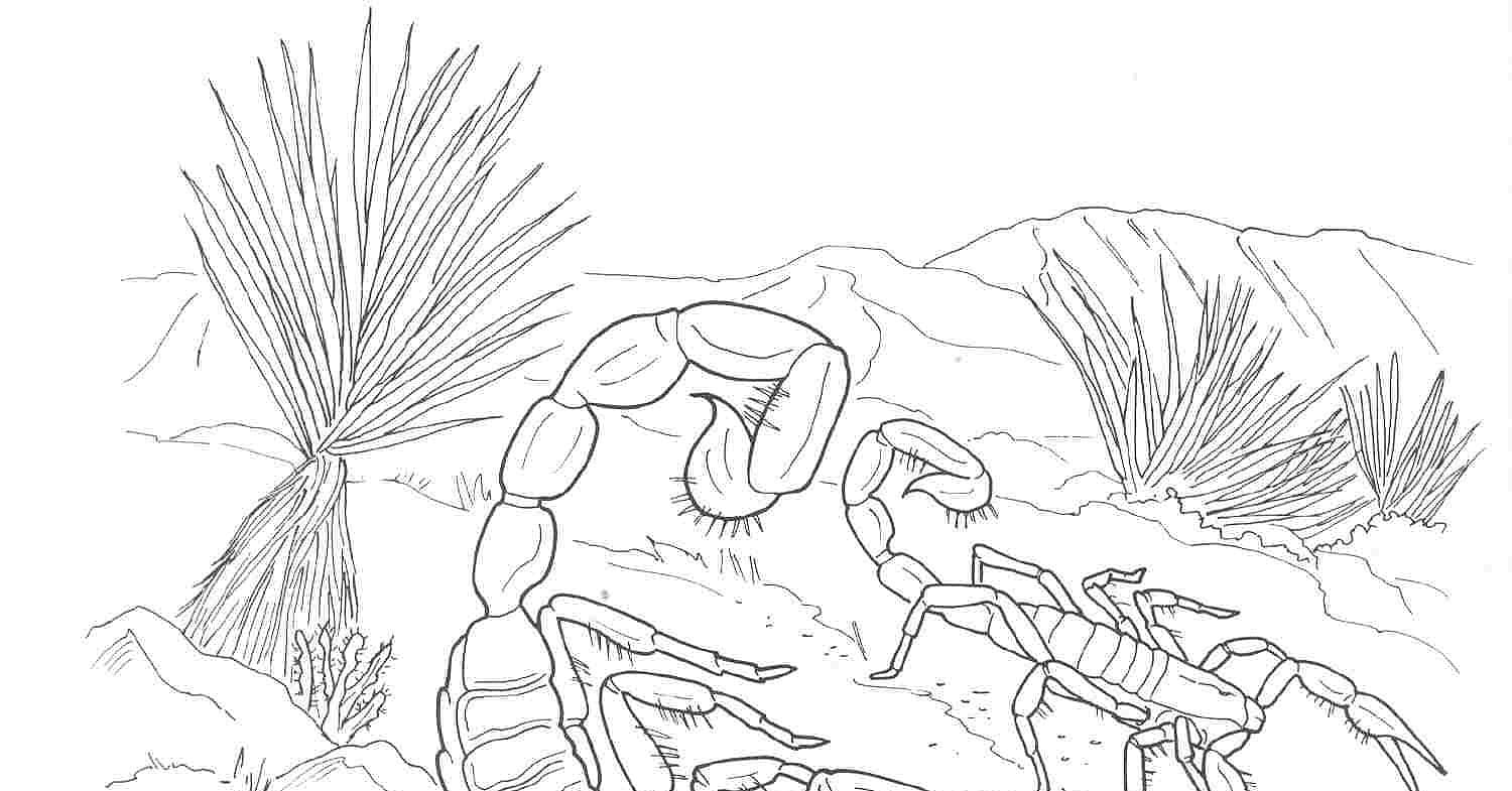 Скорпионы в пустыне