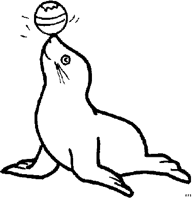 Морской котик с мячом