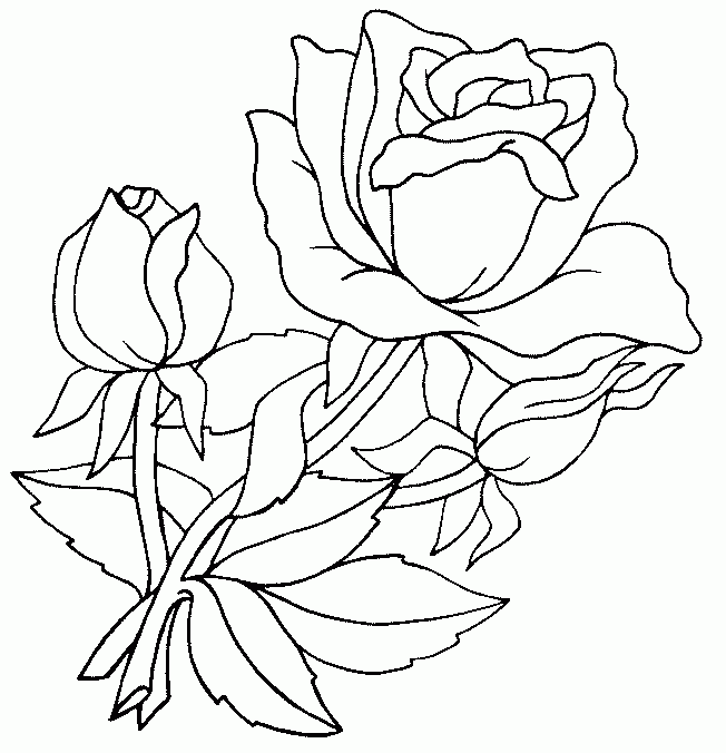 Раскраска детская роза