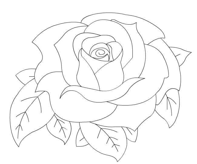 Раскраска для детей роза