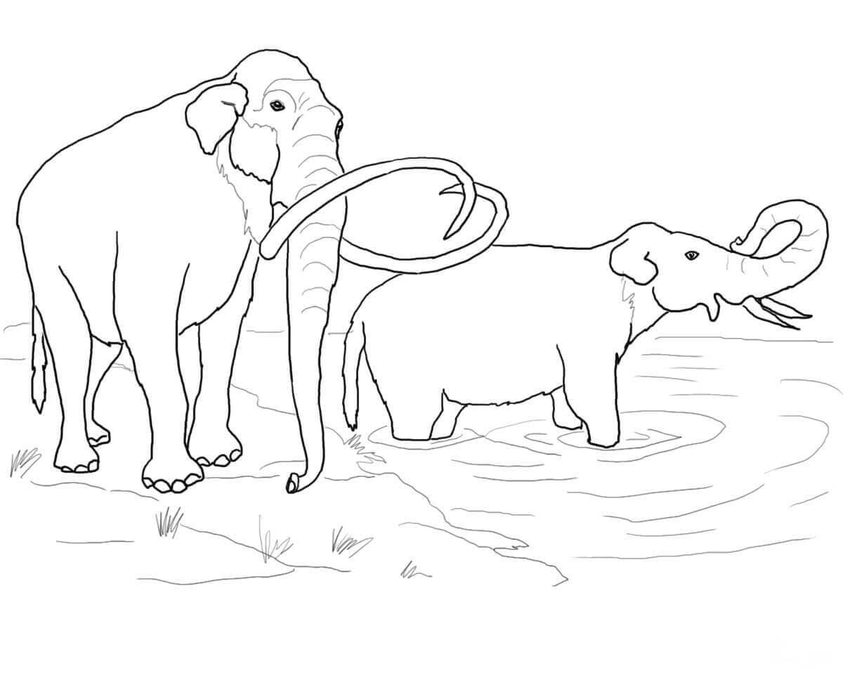 Мамонт и слон