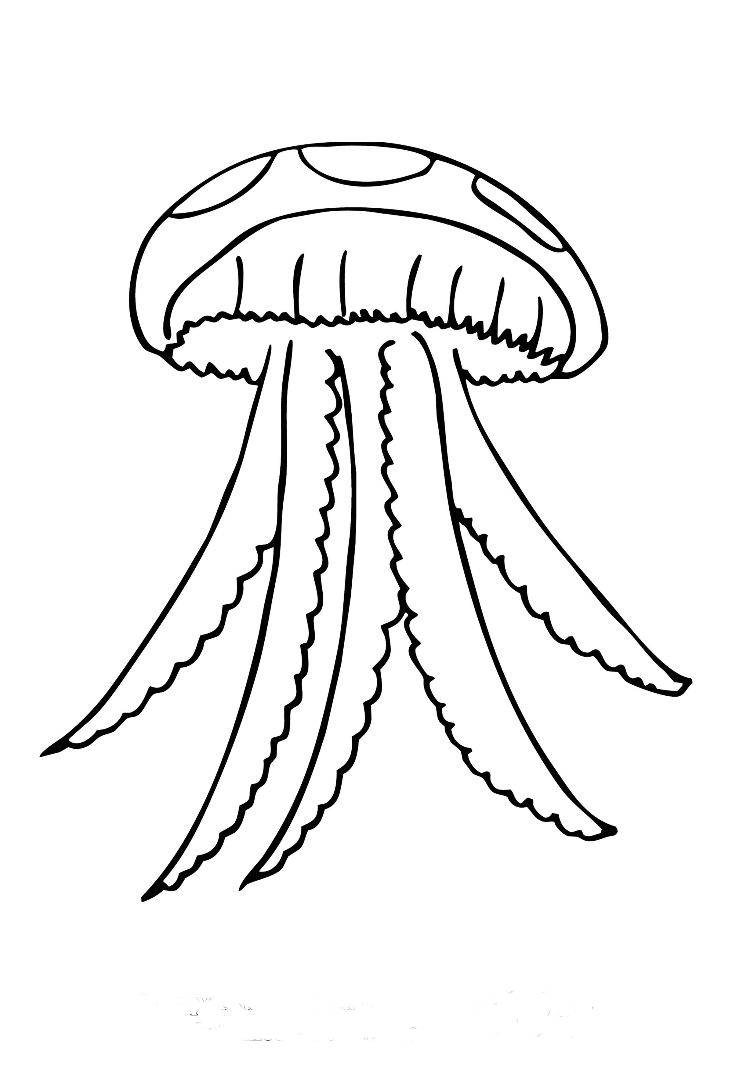 Детская раскраска медуза