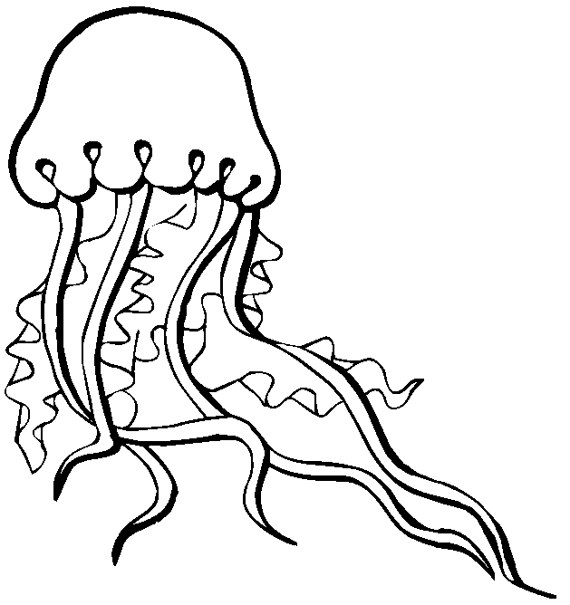 Медуза океанская