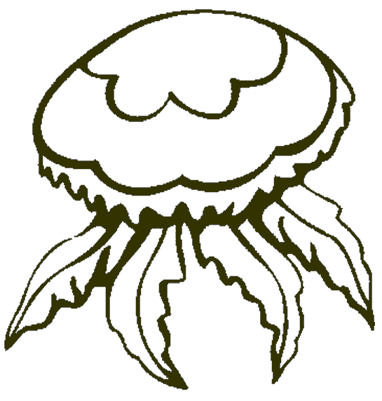 Мелкая медуза