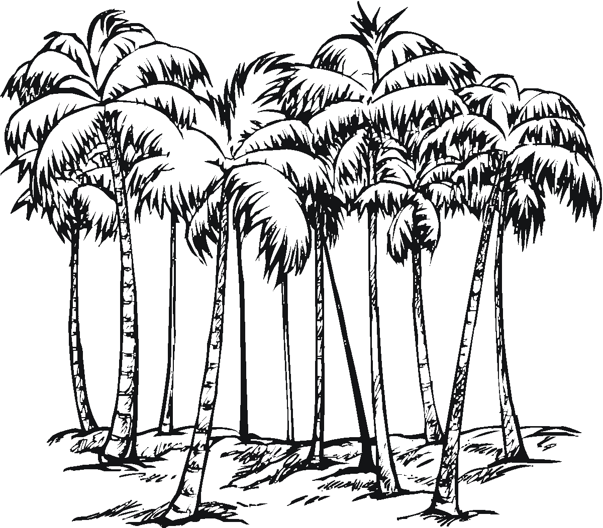 Детская раскраска пальмы