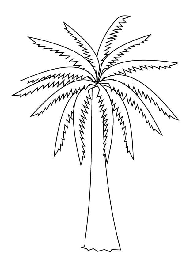 Пальма с большими листьями