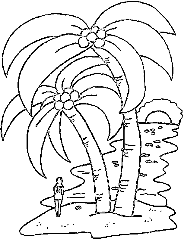 Пальмы и человек