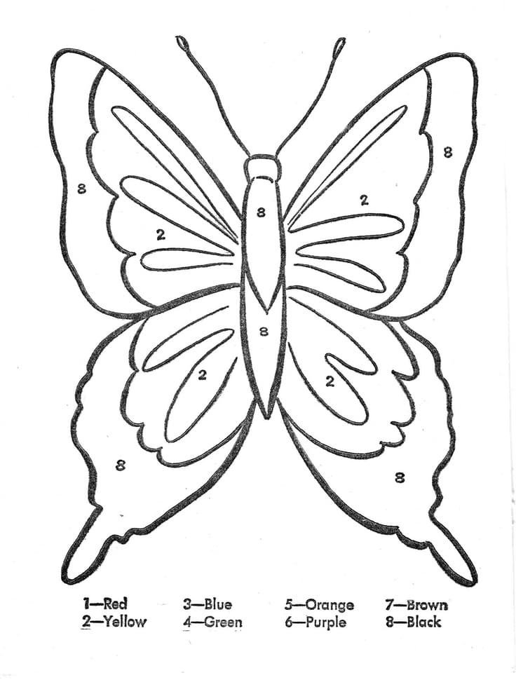 Бабочка раскраска с цветами на английском