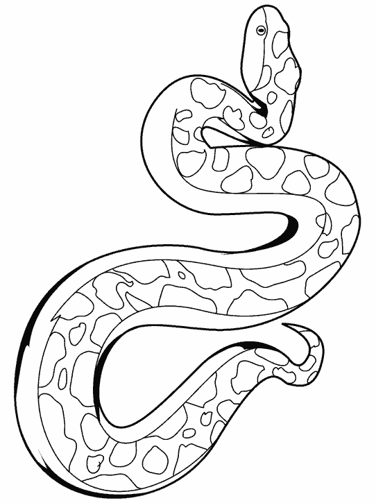 Змея пятнистая