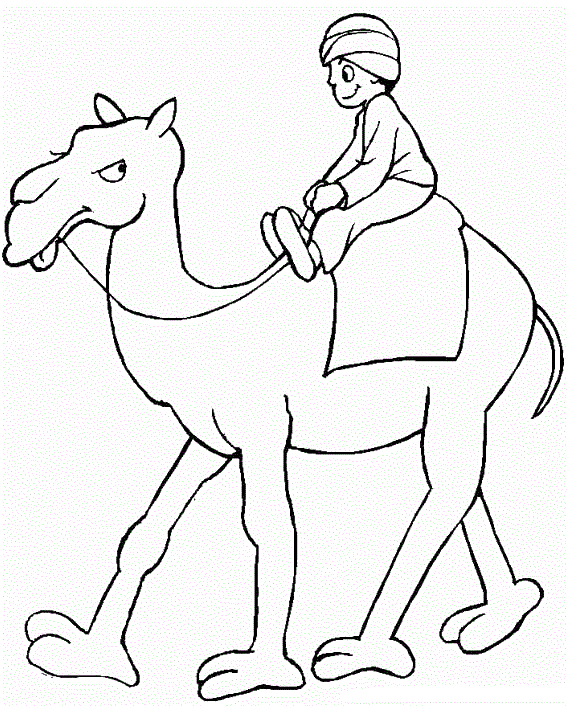 Мальчик на верблюде