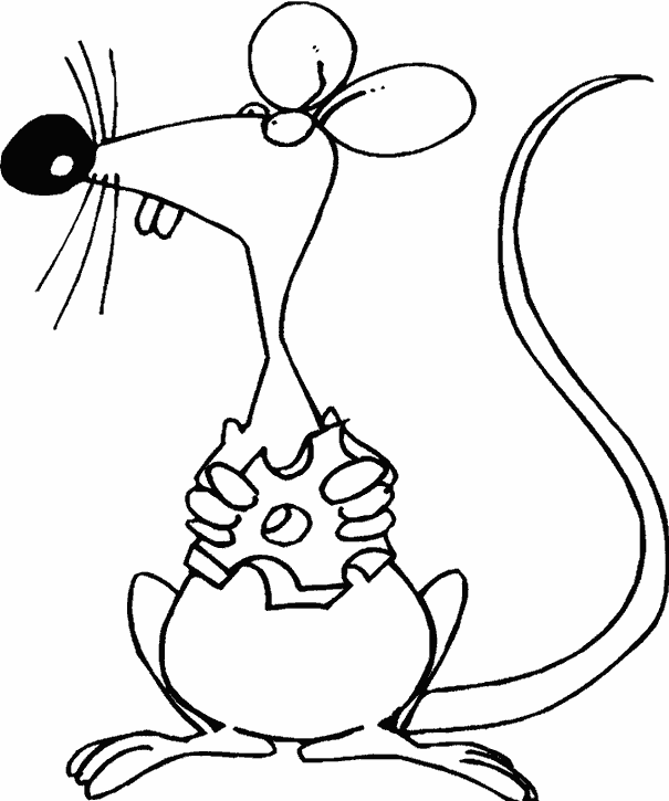 Худая мышь