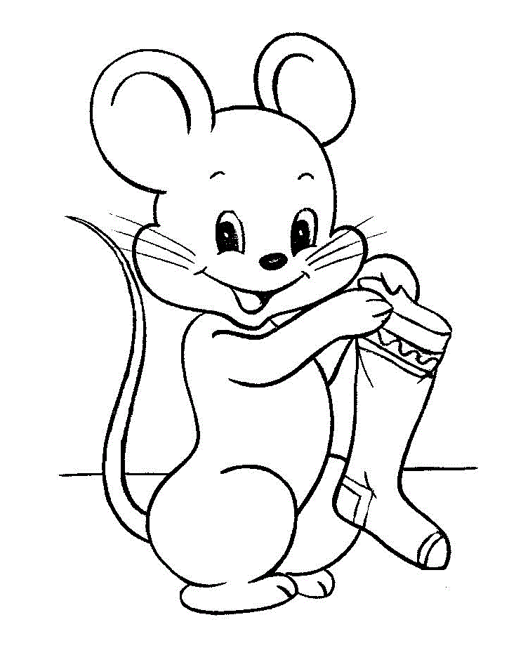 Мышка и носки