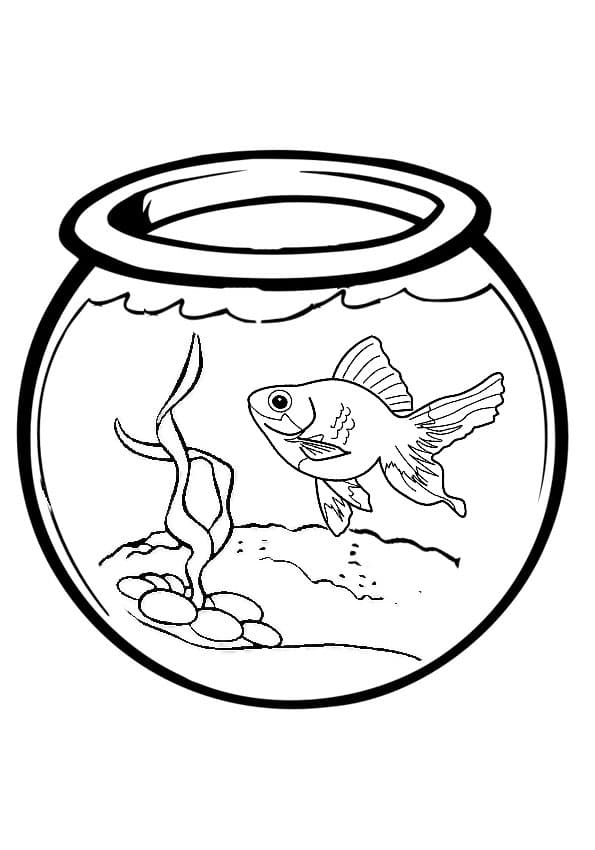 Рыбка в аквариуме