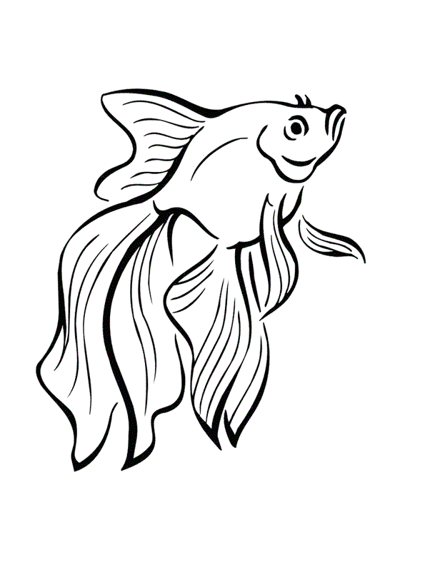 Золотая рыбка раскраска для детей