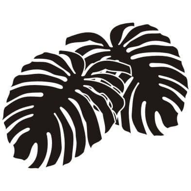 Листья пальмы - Раскраски от сайта В мире сказки!