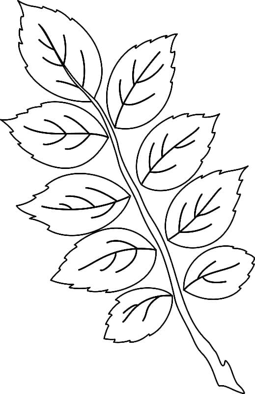 Листья с веткой шаблон
