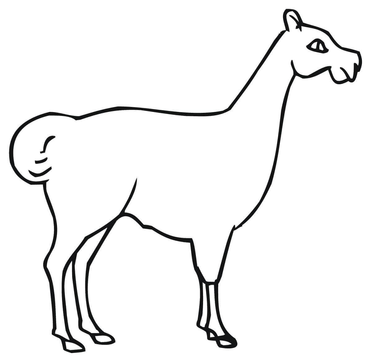 Картинка лама