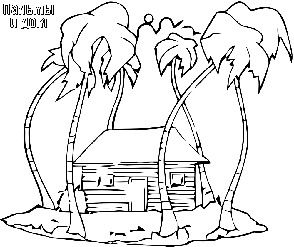 Пальмы и дом